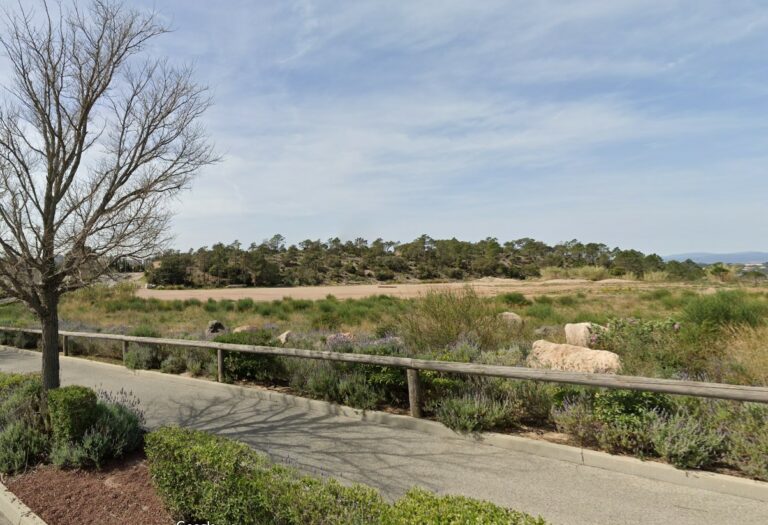 Création d’un parc paysager, SAINT RAPHAEL (83)